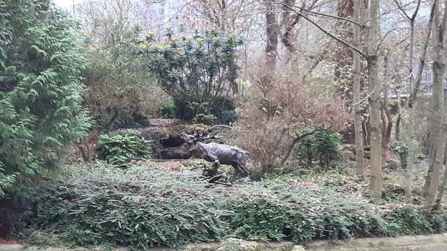 Au parc de la Patte d'Oie