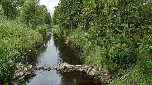 01/08/2022 Pavillon des eaux