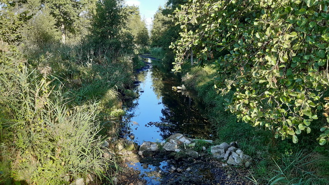 05/09/2022 Pavillon des eaux